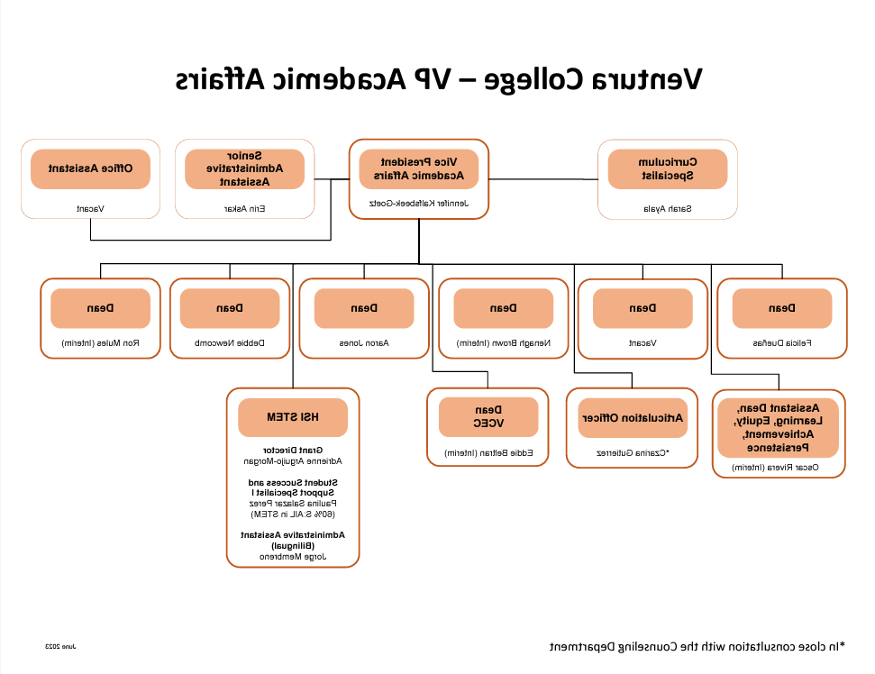 显示学术事务的组织结构图和HSI STEM资助在学术事务下的位置. 